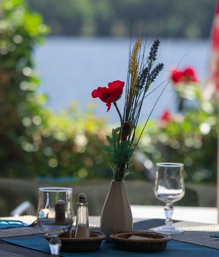 Logis Hotel Du Lac Neuvic (Correze) Exterior foto